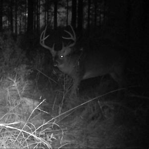 Meet your Posher, Dewayne